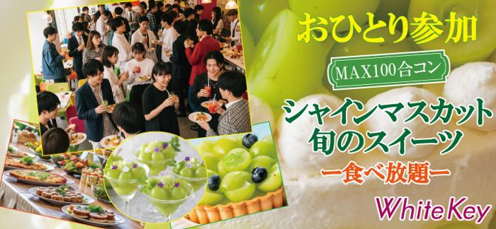 パーティーID:4308333の画像