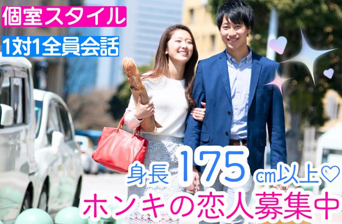 パーティーID:4309771の画像