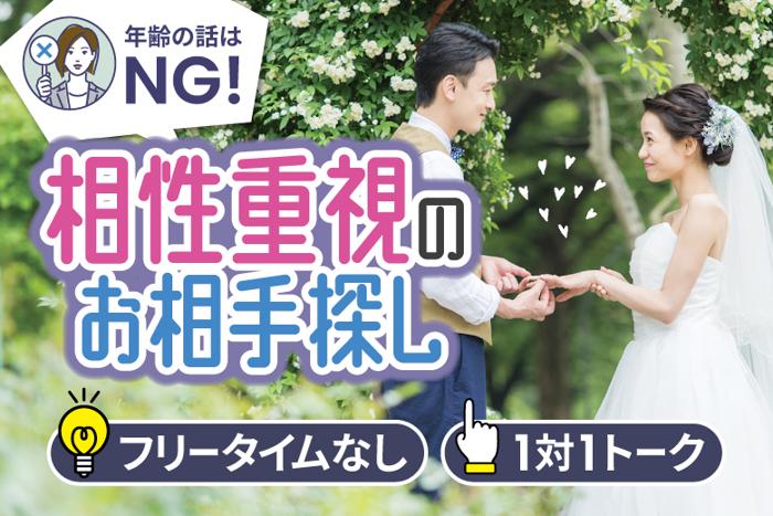 パーティーID:4310286の画像