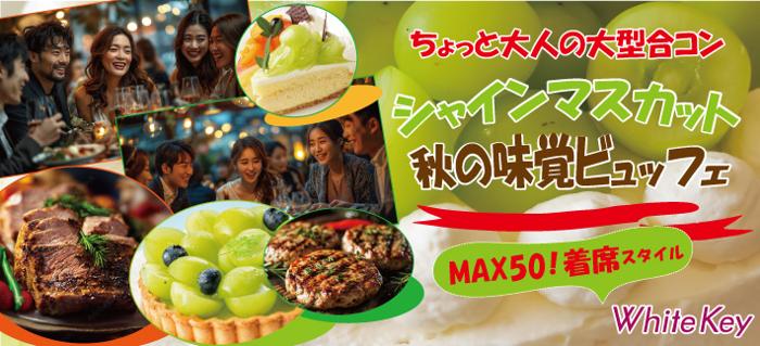 パーティーID:4310473の画像