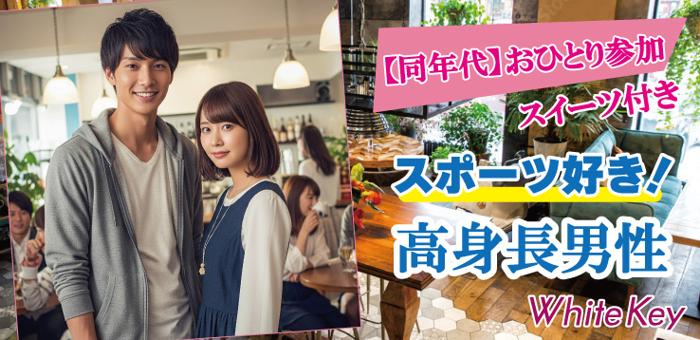 パーティーID:4310483の画像