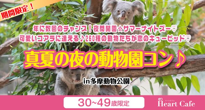 パーティーID:4310521の画像