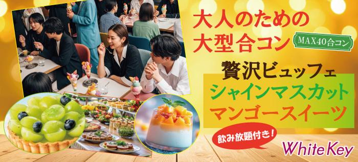 パーティーID:4311107の画像