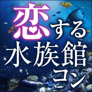 パーティーID:4313127の画像