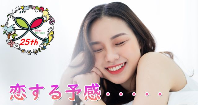 パーティーID:4313521の画像