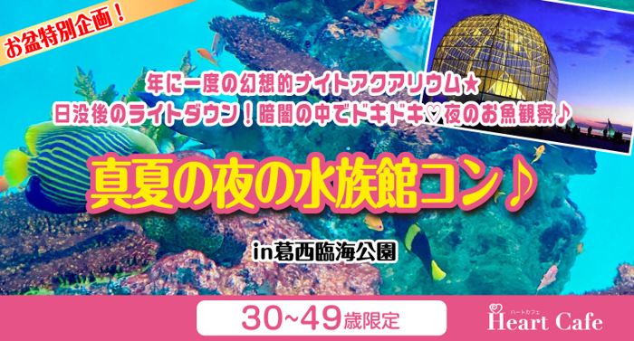 パーティーID:4313742の画像