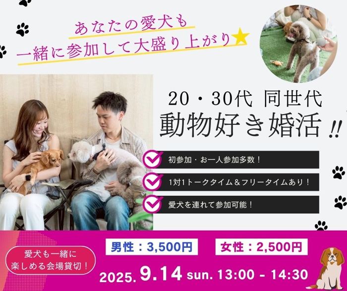 パーティーID:4316797の画像