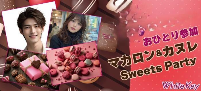 パーティーID:4317139の画像
