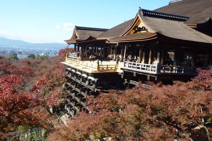 パーティーID:4319437の画像