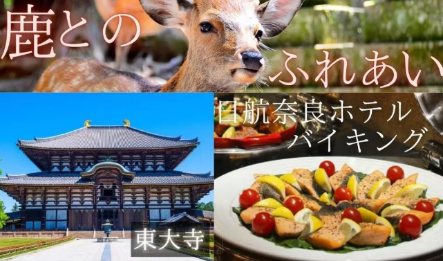 パーティーID:4320861の画像