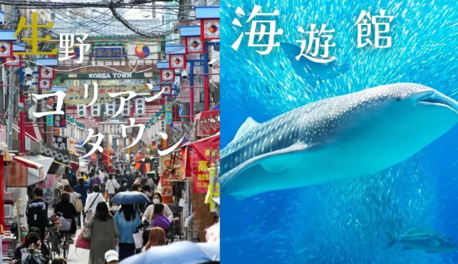 パーティーID:4320867の画像