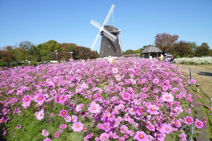 パーティーID:4321472の画像