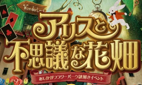 パーティーID:4323121の画像