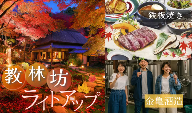 パーティーID:4323186の画像