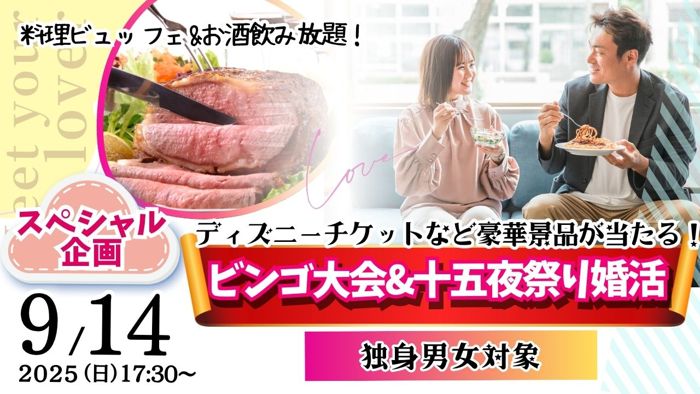 パーティーID:4323244の画像