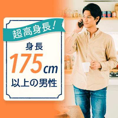 パーティーID:4323984の画像