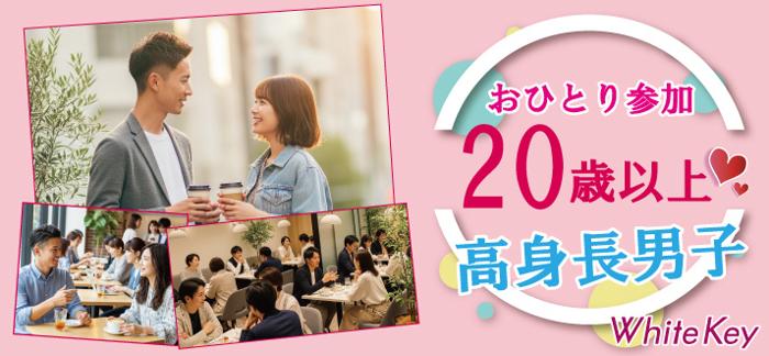 パーティーID:4325059の画像