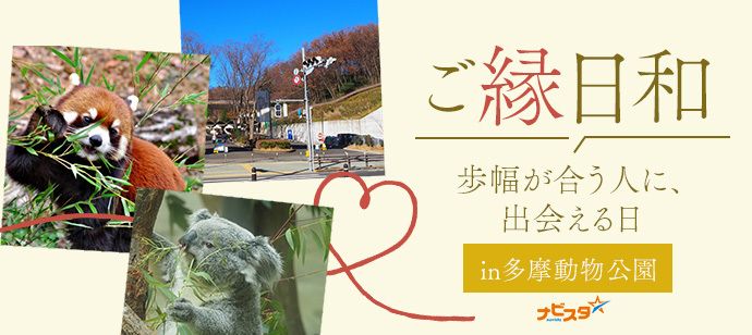パーティーID:4326300の画像