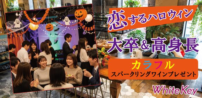 パーティーID:4327905の画像