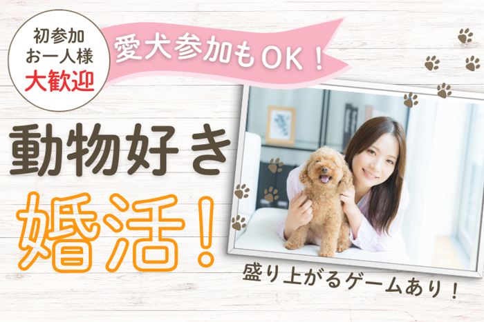 パーティーID:4328143の画像
