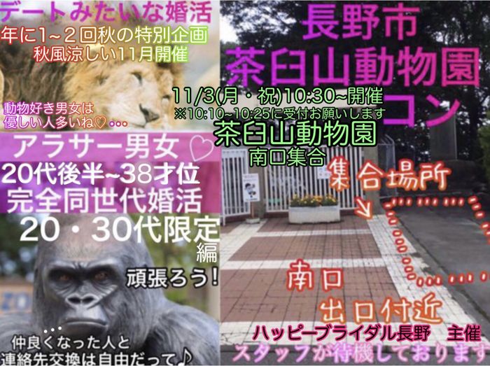 パーティーID:4330291の画像