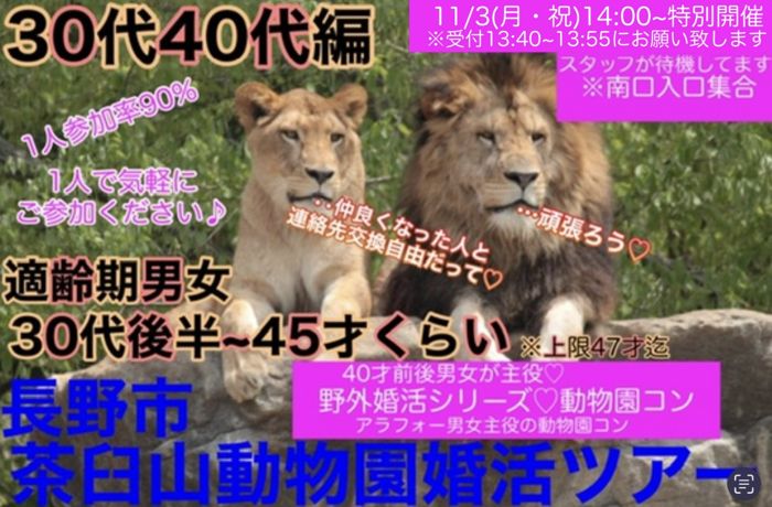 パーティーID:4330434の画像