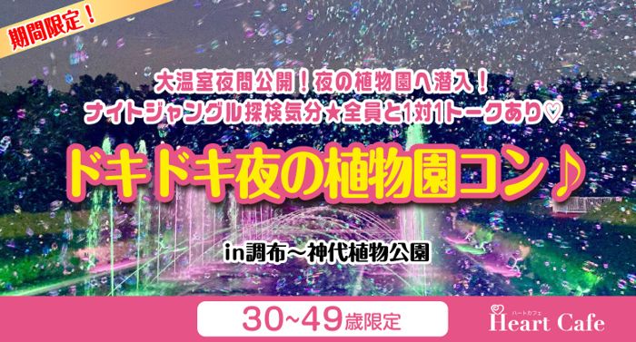パーティーID:4330920の画像