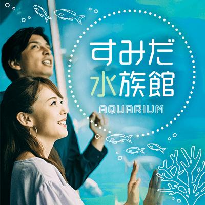 パーティーID:4333240の画像