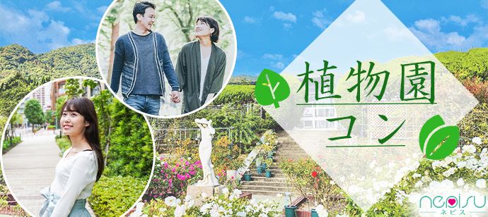 パーティーID:4336189の画像