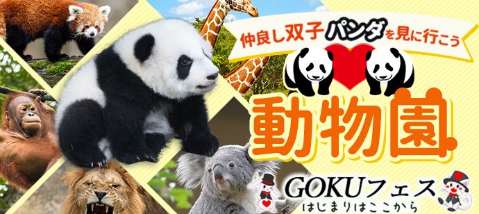 パーティーID:4336217の画像