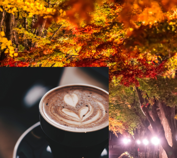 パーティーID:4336223の画像