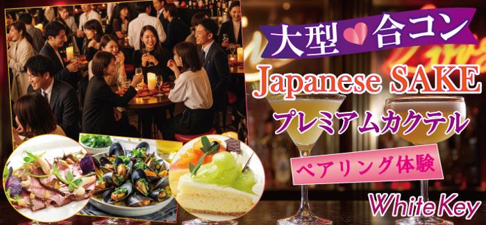 パーティーID:4336459の画像