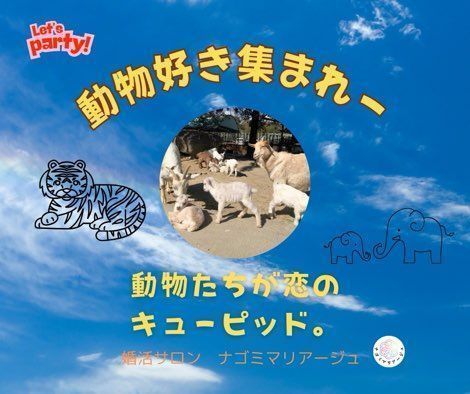 パーティーID:4336789の画像