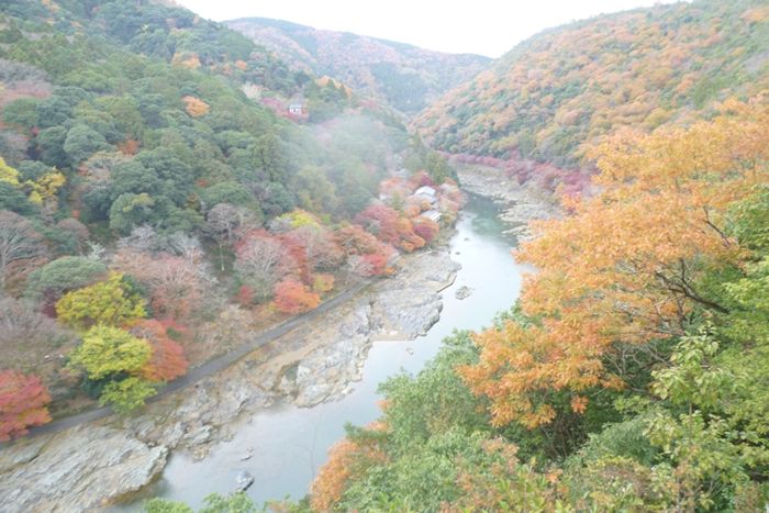 パーティーID:4337755の画像