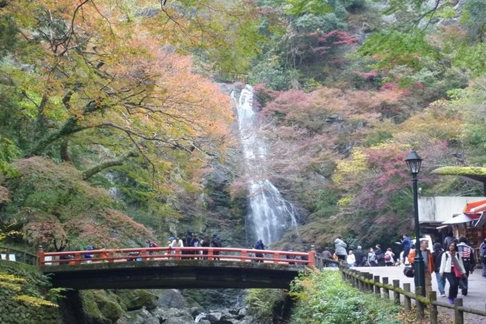 パーティーID:4337758の画像