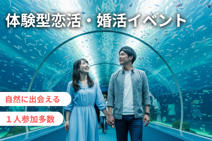 パーティーID:4339678の画像