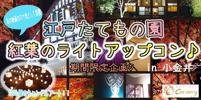 パーティーID:4340920の画像