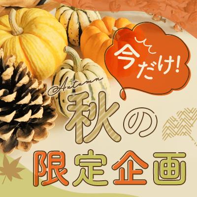 パーティーID:4341509の画像