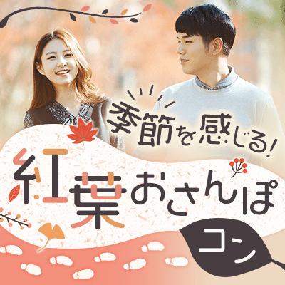 パーティーID:4341509の画像