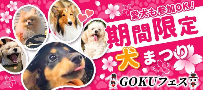 パーティーID:4341529の画像