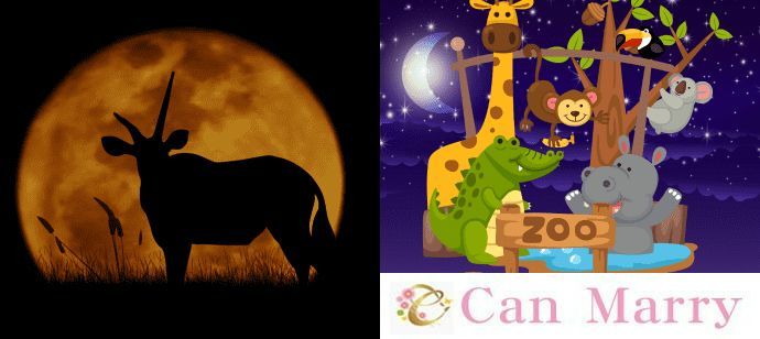 パーティーID:4342913の画像