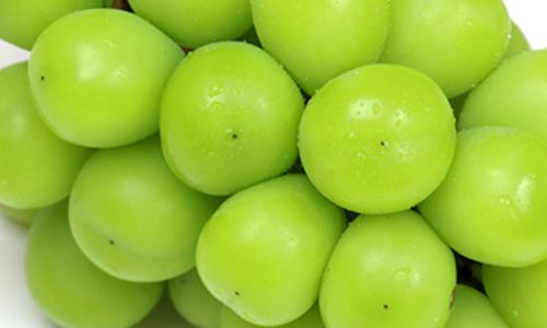 パーティーID:4346405の画像