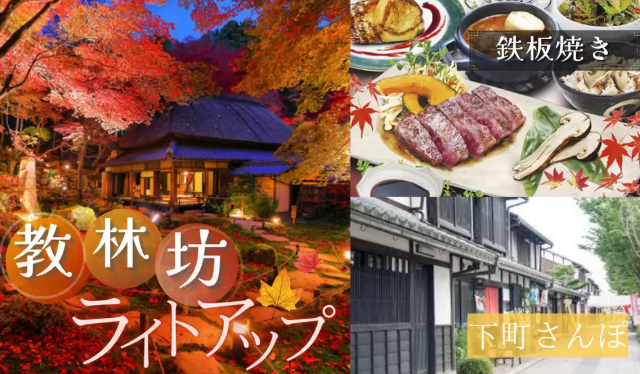 パーティーID:4348002の画像