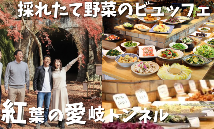 パーティーID:4348660の画像