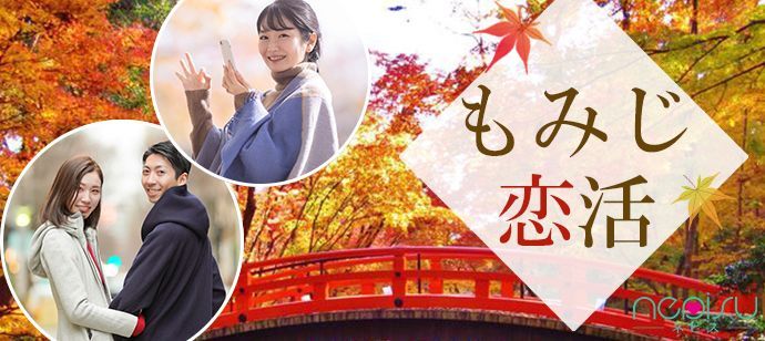 パーティーID:4349263の画像