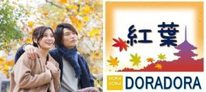 パーティー画像