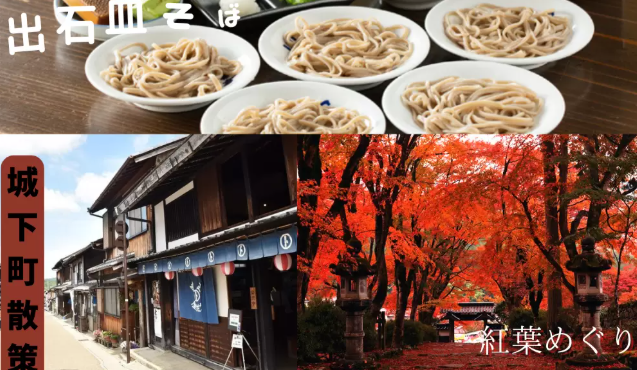 パーティーID:4349699の画像