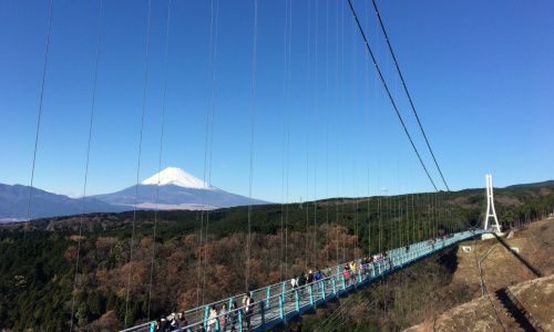 パーティーID:4349947の画像