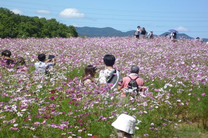 パーティーID:4350563の画像