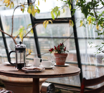 パーティーID:4351064の画像